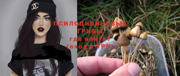 гашик Нефтегорск