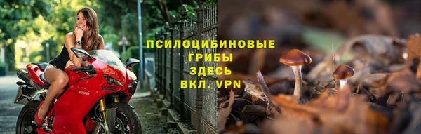 стафф Нефтекумск