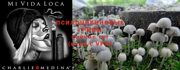 стафф Нефтекумск