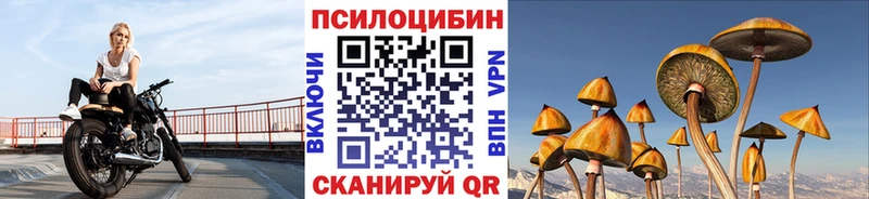 Галлюциногенные грибы ЛСД  Купить  Новомичуринск 