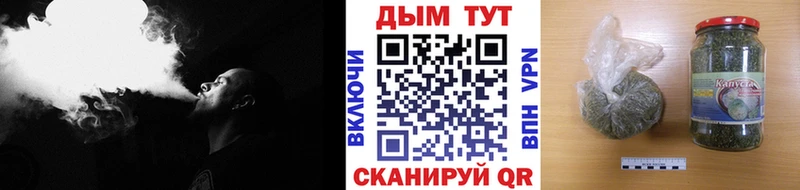 Купить где  Новомичуринск  Конопля планчик 